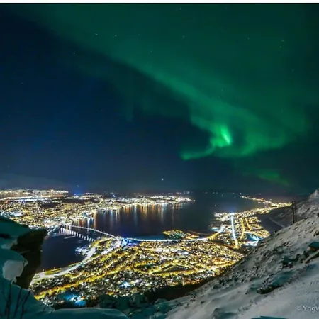 Aurora Skies