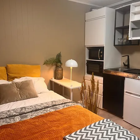 Apartamento Aurora Skies *