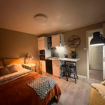 Aurora Skies Apartment *